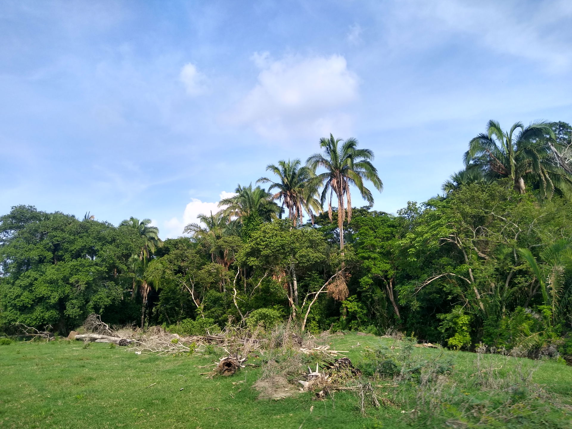 Paseo por Joachín, Tierra Blanca, Veracruz