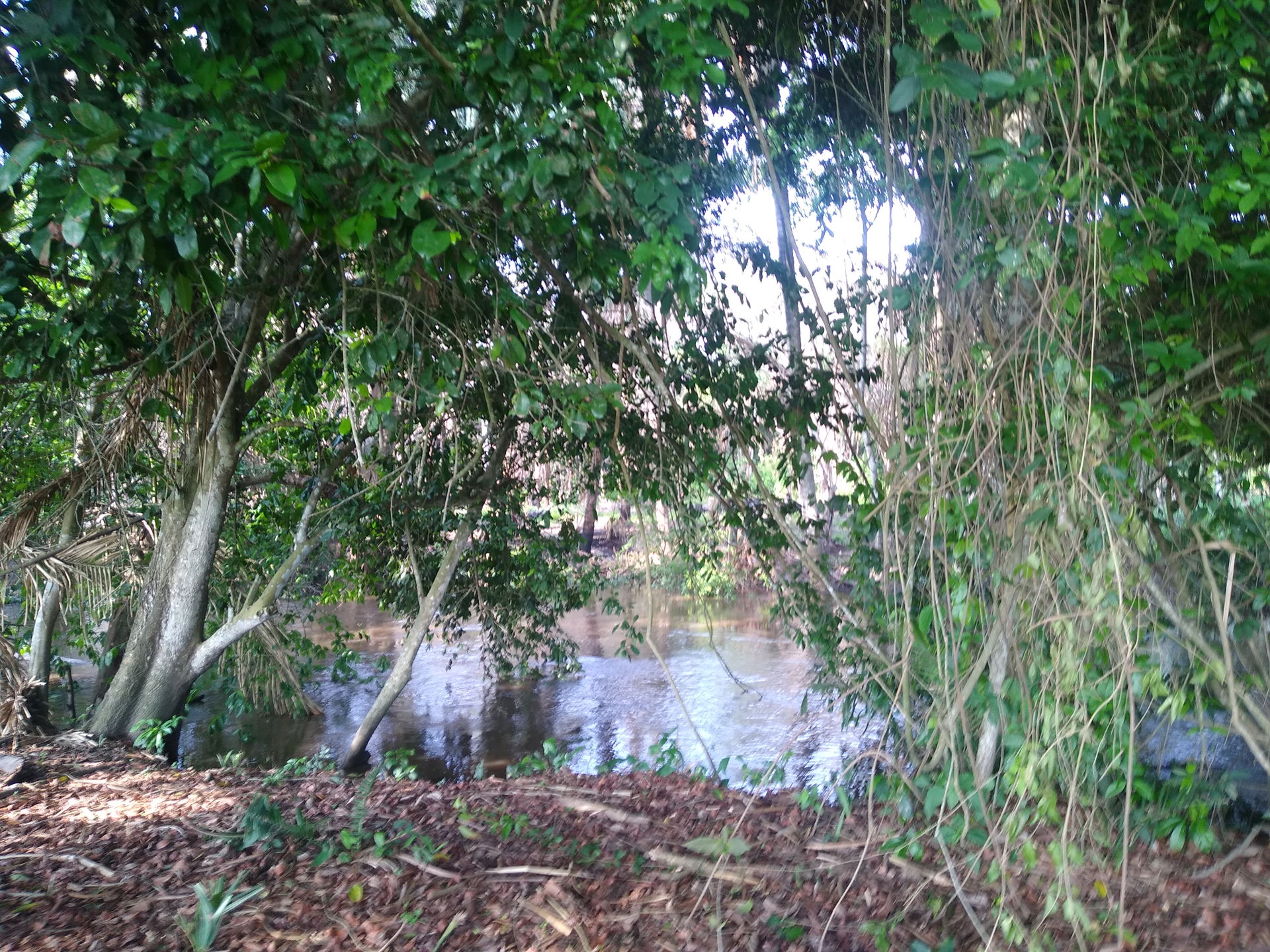 Paseo por Joachín, Tierra Blanca, Veracruz