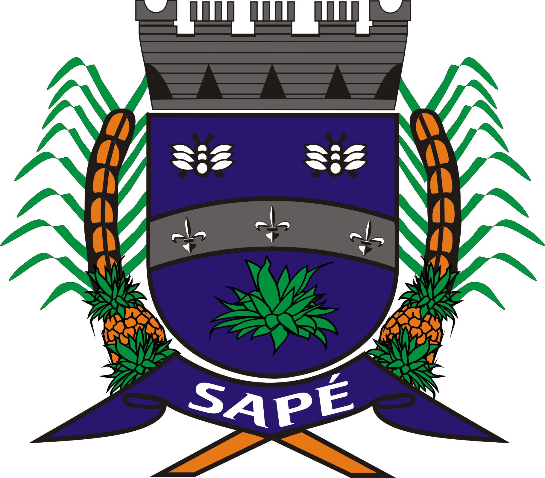 brasão da cidade de sapé