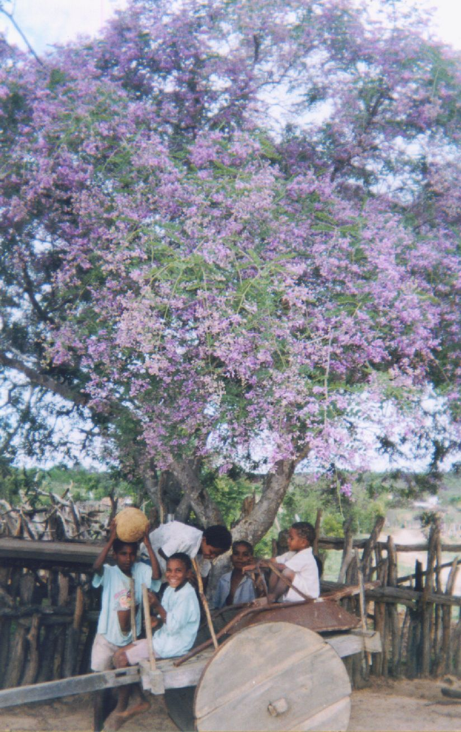 Registro do Quilombo do Sapé, Caetité, no ano de 1993