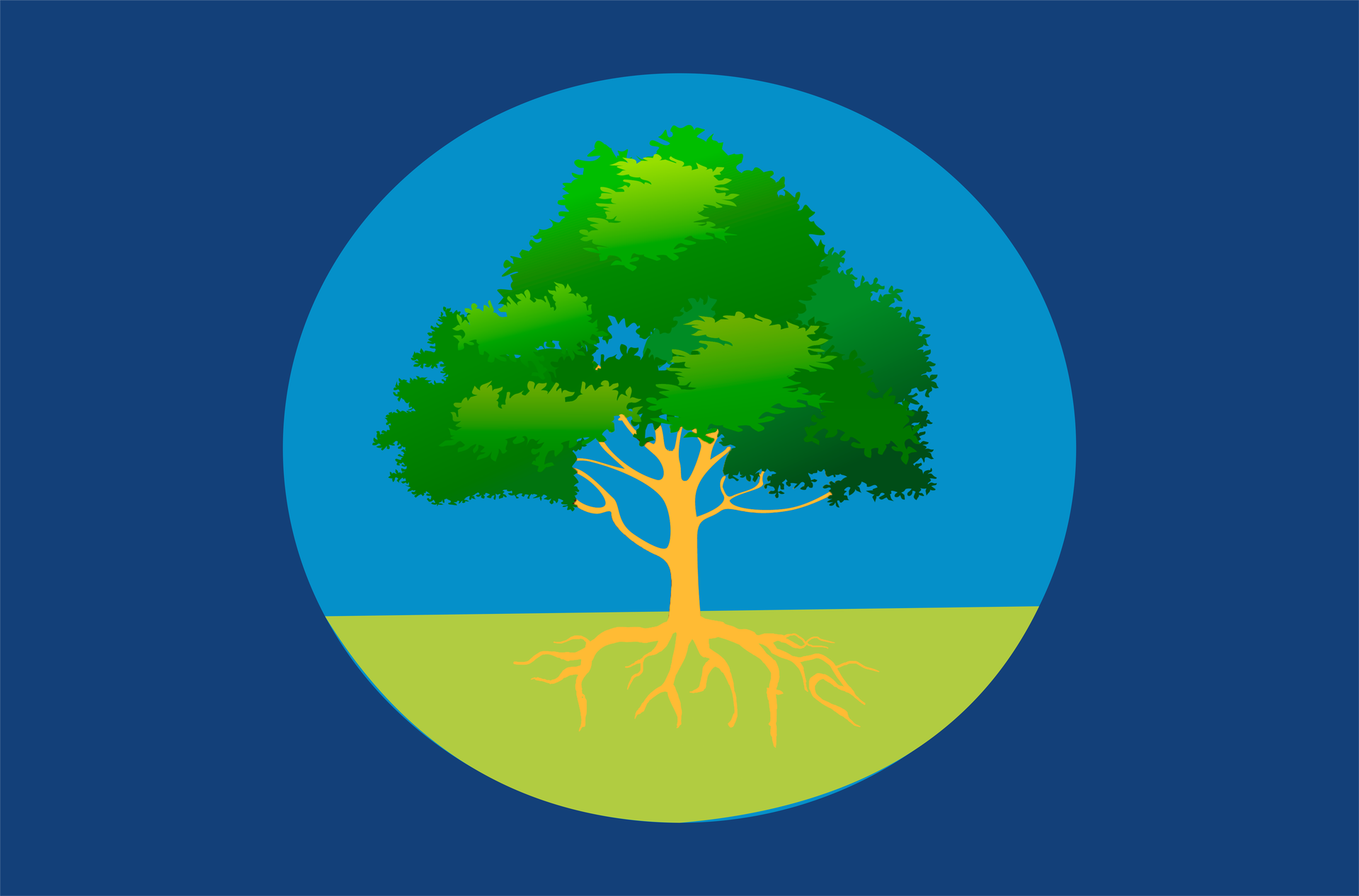 Bandeira da cidade de Paudalho/PE