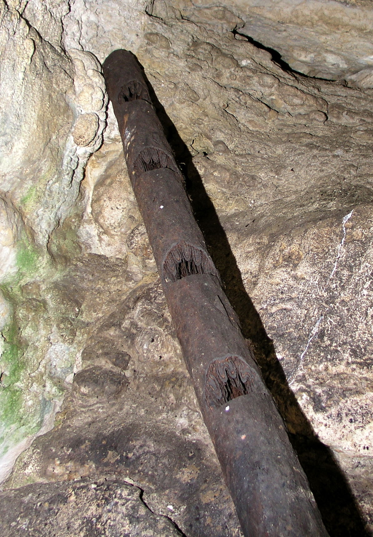 Echelle taillée dans un tronc de fougère arborescente, Cueva de…