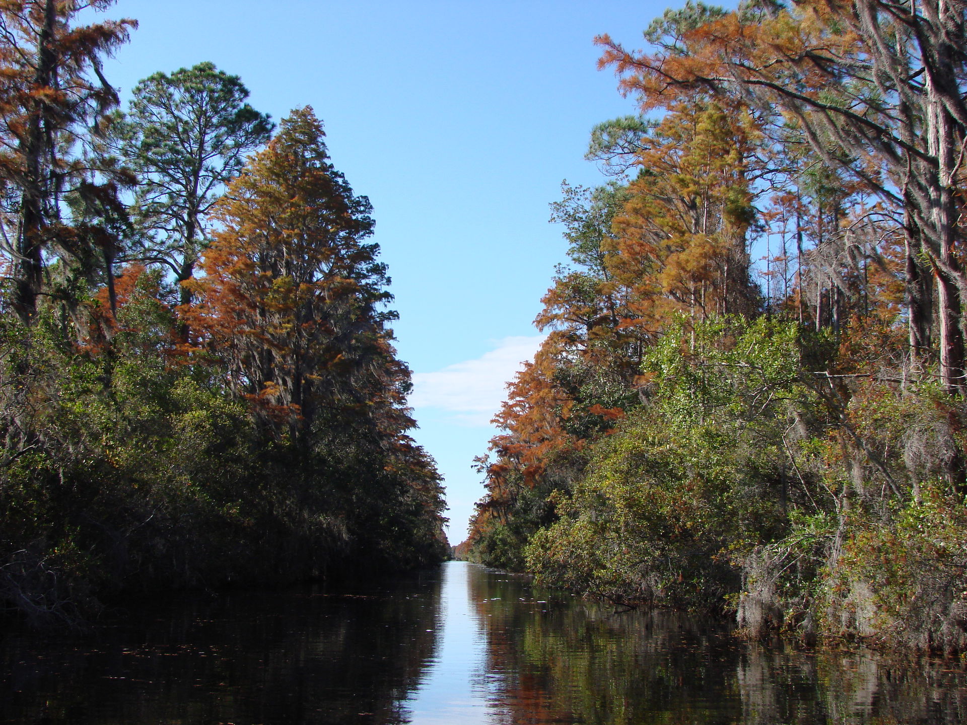 Okefenokee Swamp Folkston GA Entry