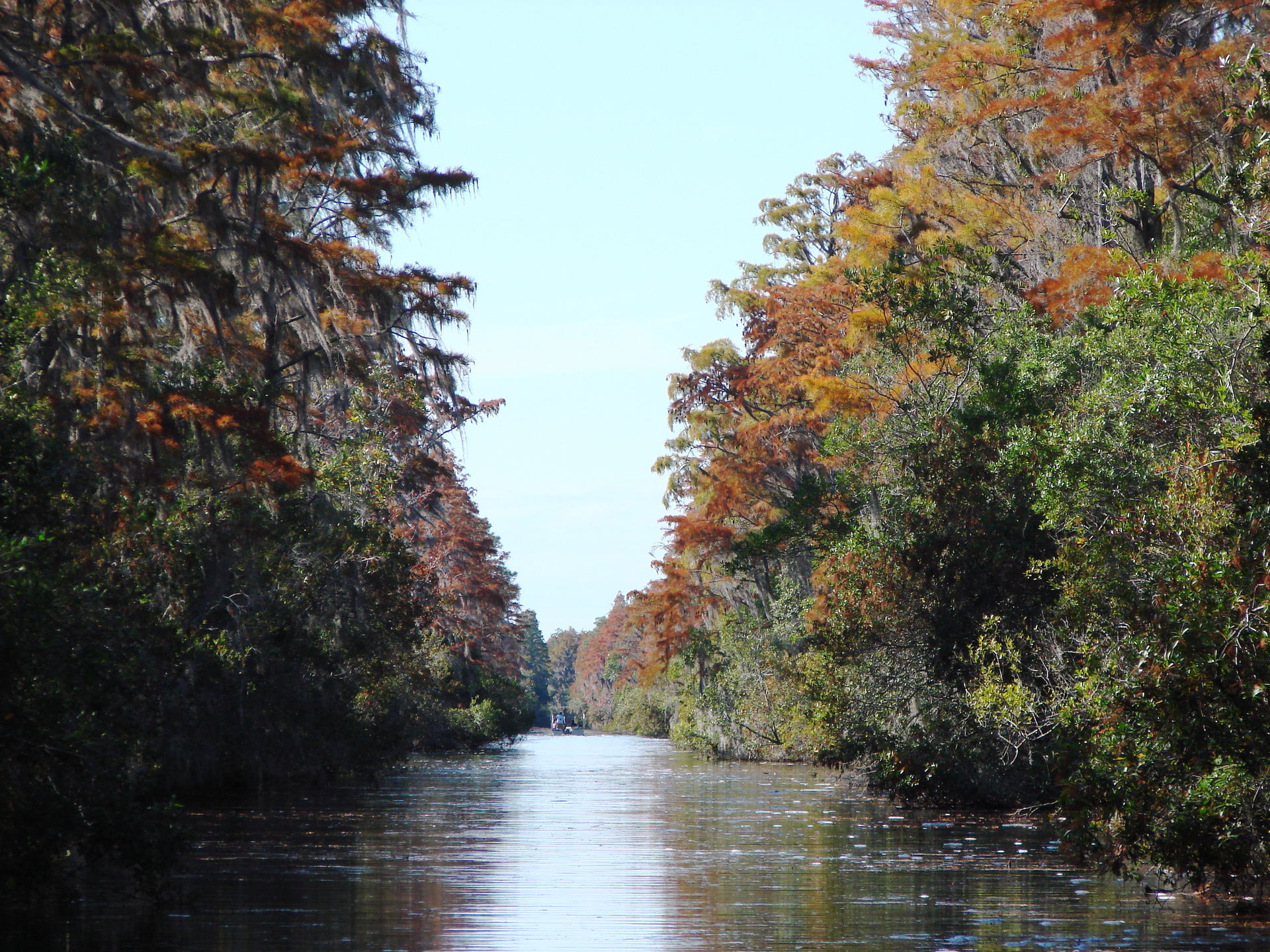 Okefenokee Swamp Folkston GA Entry