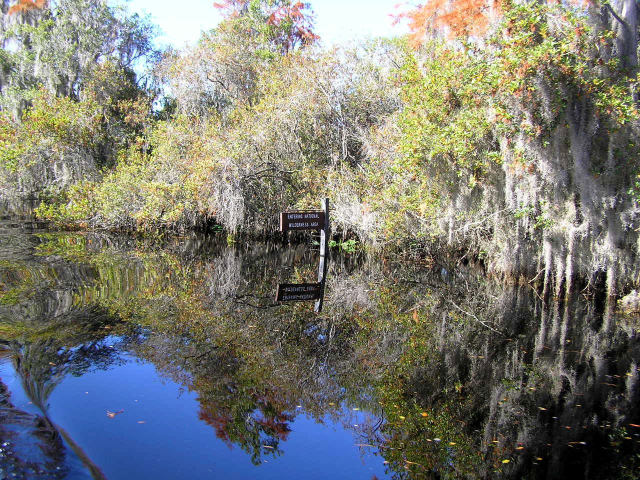 Okefenokee Swamp Entry Folkston GA