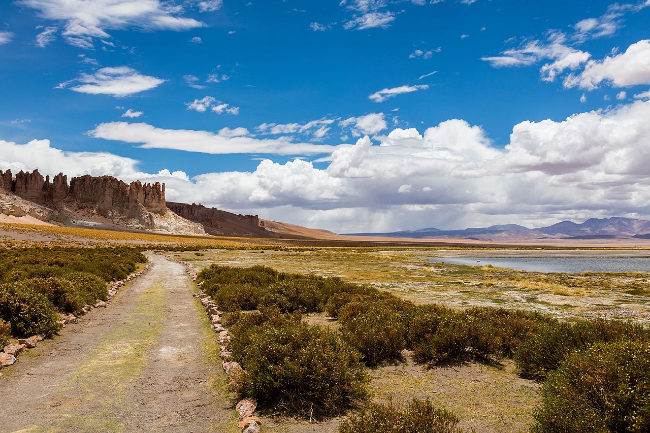 Kalahari transfrontier 20