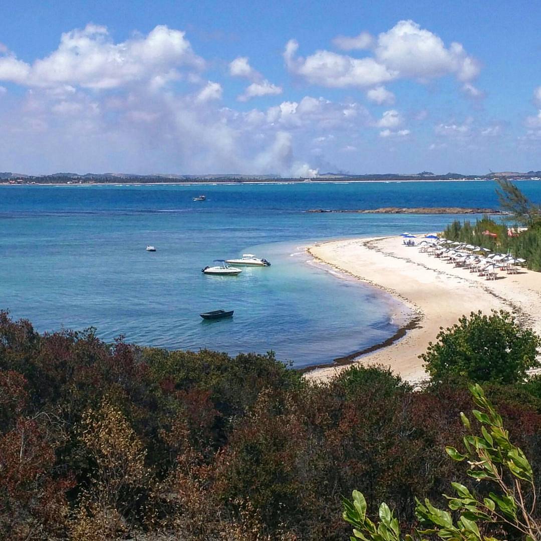 Ilha de Santo Aleixo (Sirinhaém, Pernambuco, Brasil).