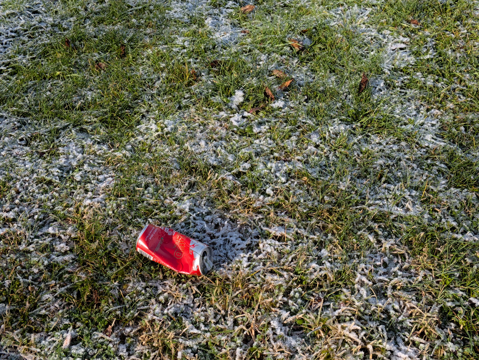Trash can on the lawn of the parking relay La Terrasse in Villa…