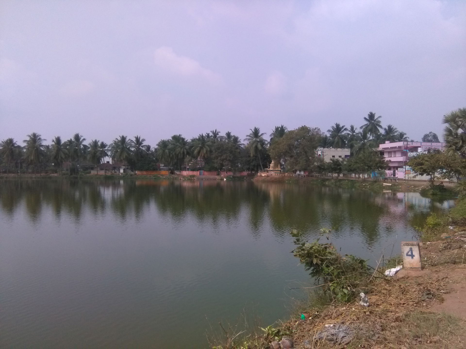 A.P Village Chikkala of Nidadavolu Mandal (2)
