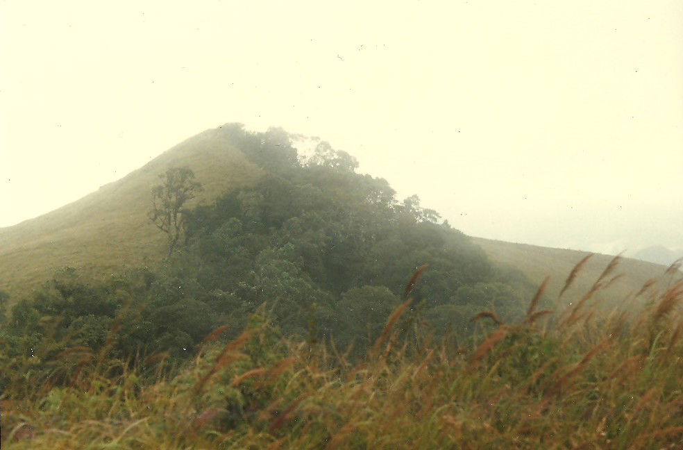 A hill within Loma de Hierro mining area.