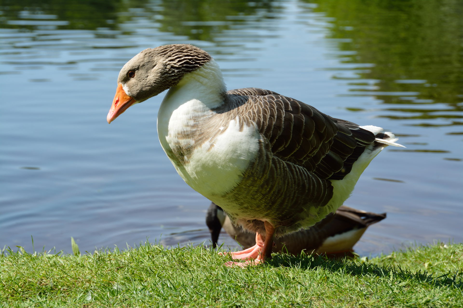 This image was uploaded as part of Wiki Loves Earth 2014.