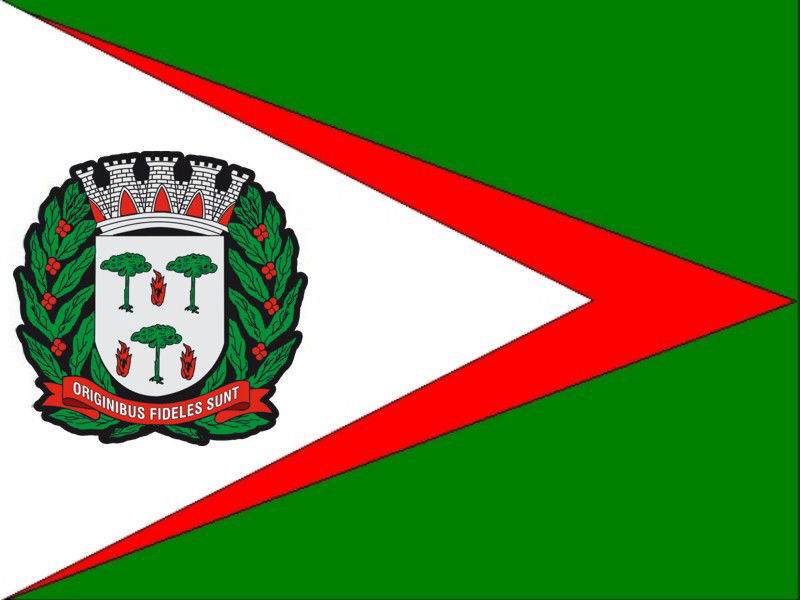 Flag of the city of Espírito Santo do Pinhal