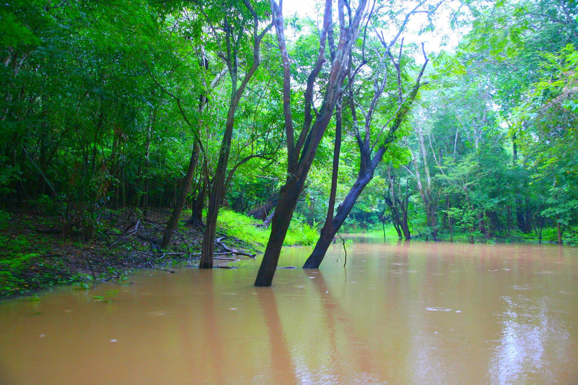 LÁBREA-AMAZONAS