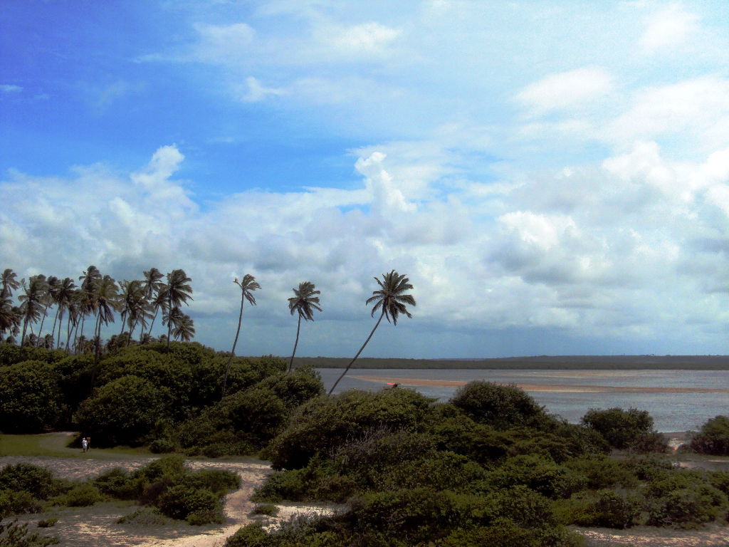 View of Barra do Rio Mamamguape, Paraíba State, northeastern Br…