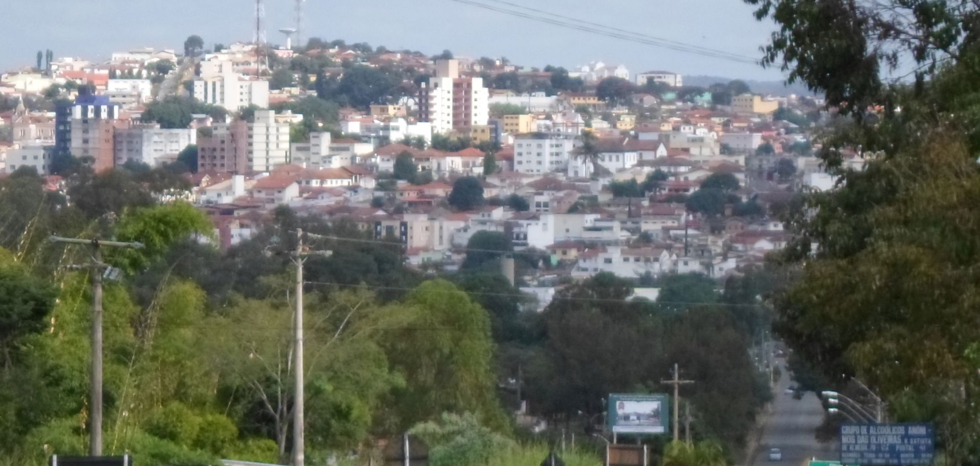 Oliveira vista ao longe
