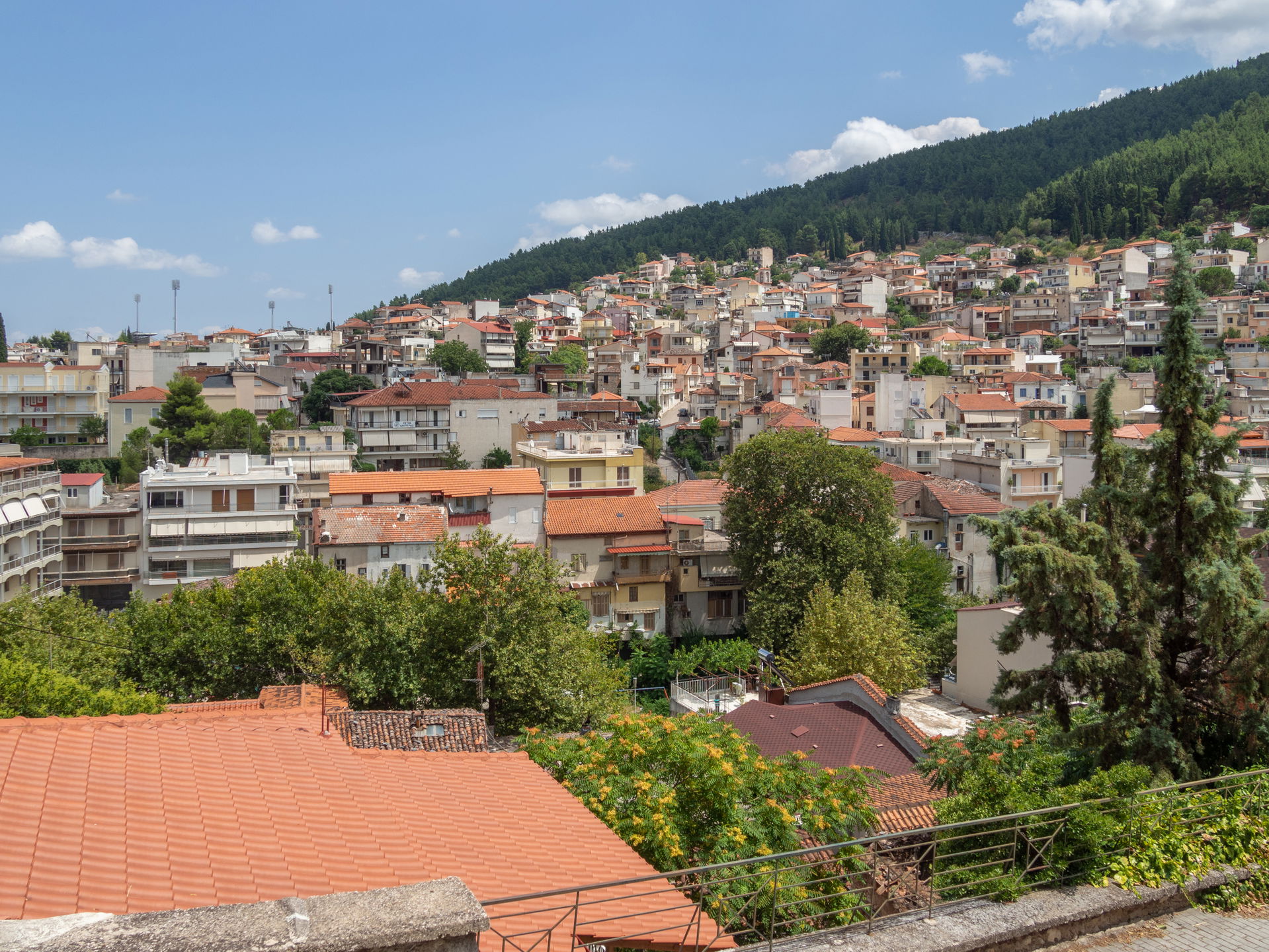 View of Livadeia from the clock tower hill.