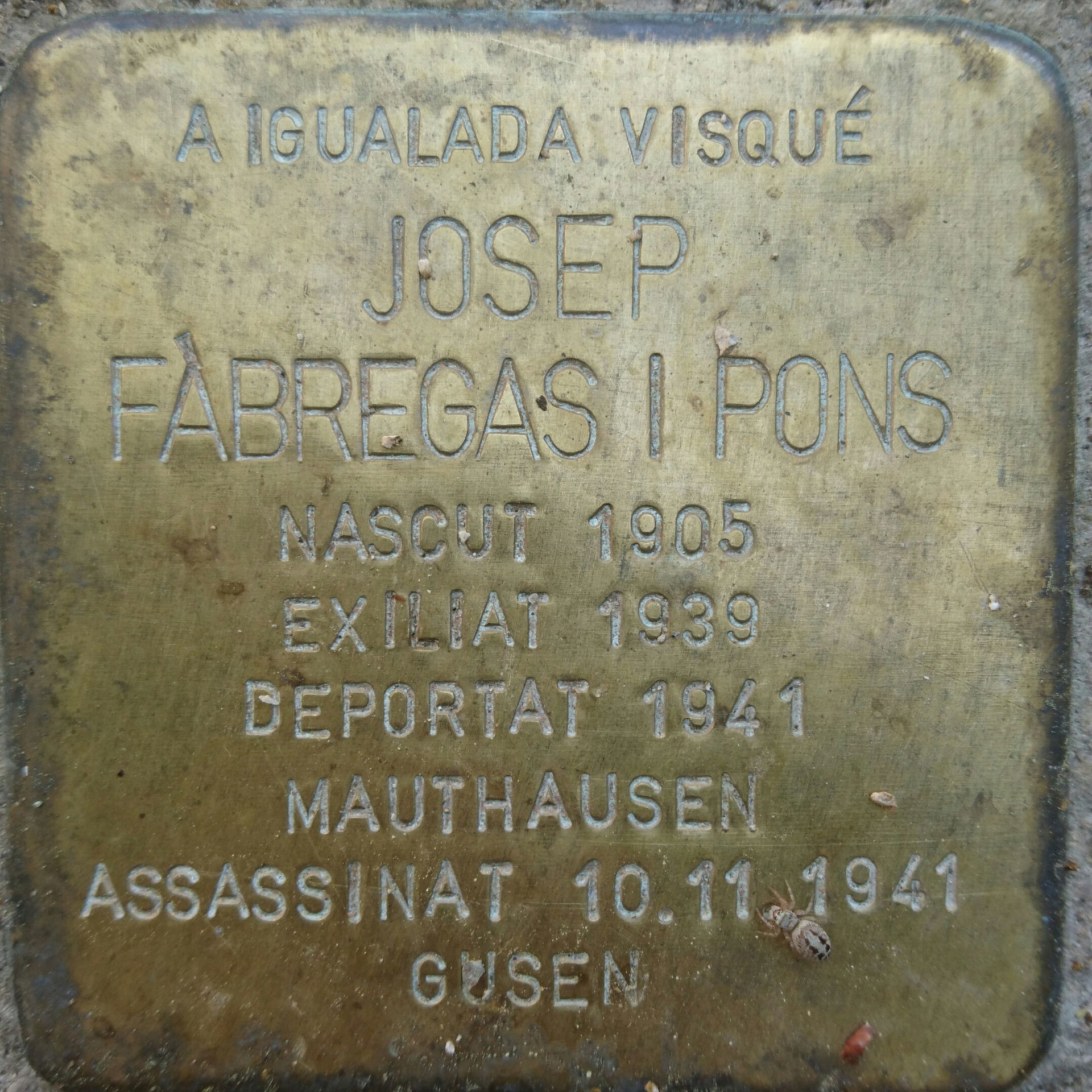 Stolpersteine a Igualada - Catalunya (Josep Fàbregas)