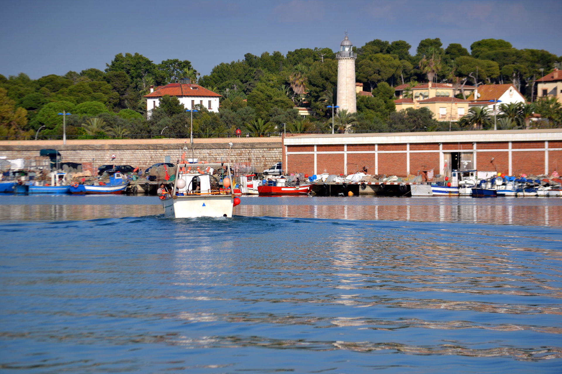 Arribada de barques de pesca.