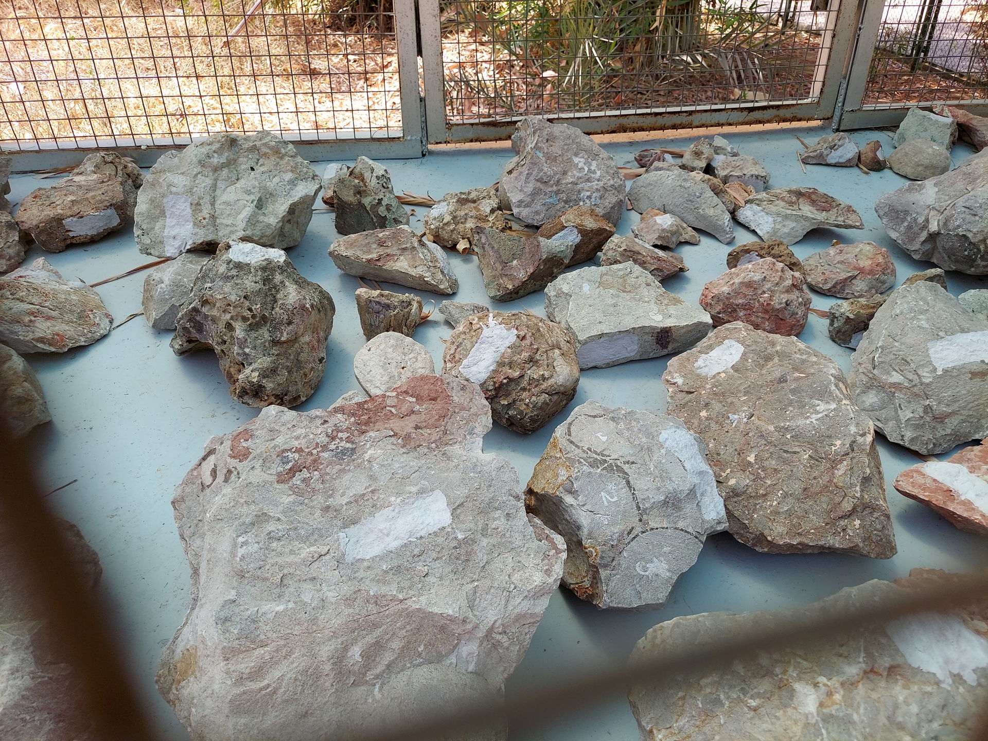 The eggs and fossils on display here are from the world's 3rd-l…