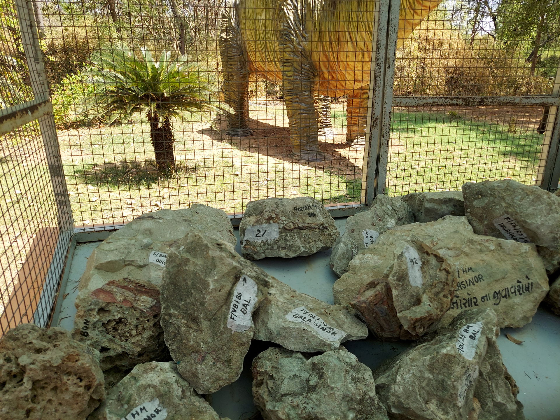 The eggs and fossils on display here are from the world's 3rd-l…