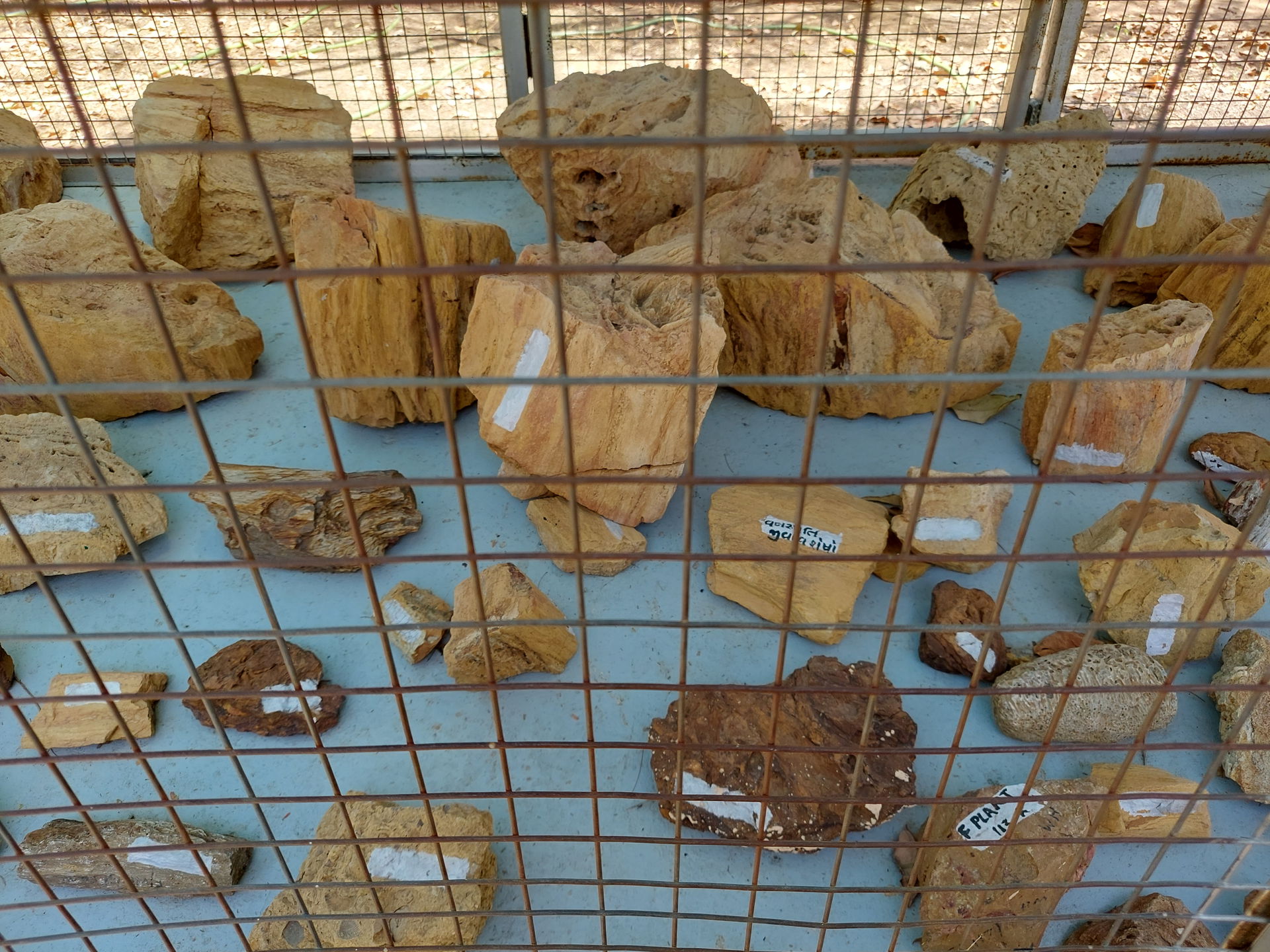 The eggs and fossils on display here are from the world's 3rd-l…