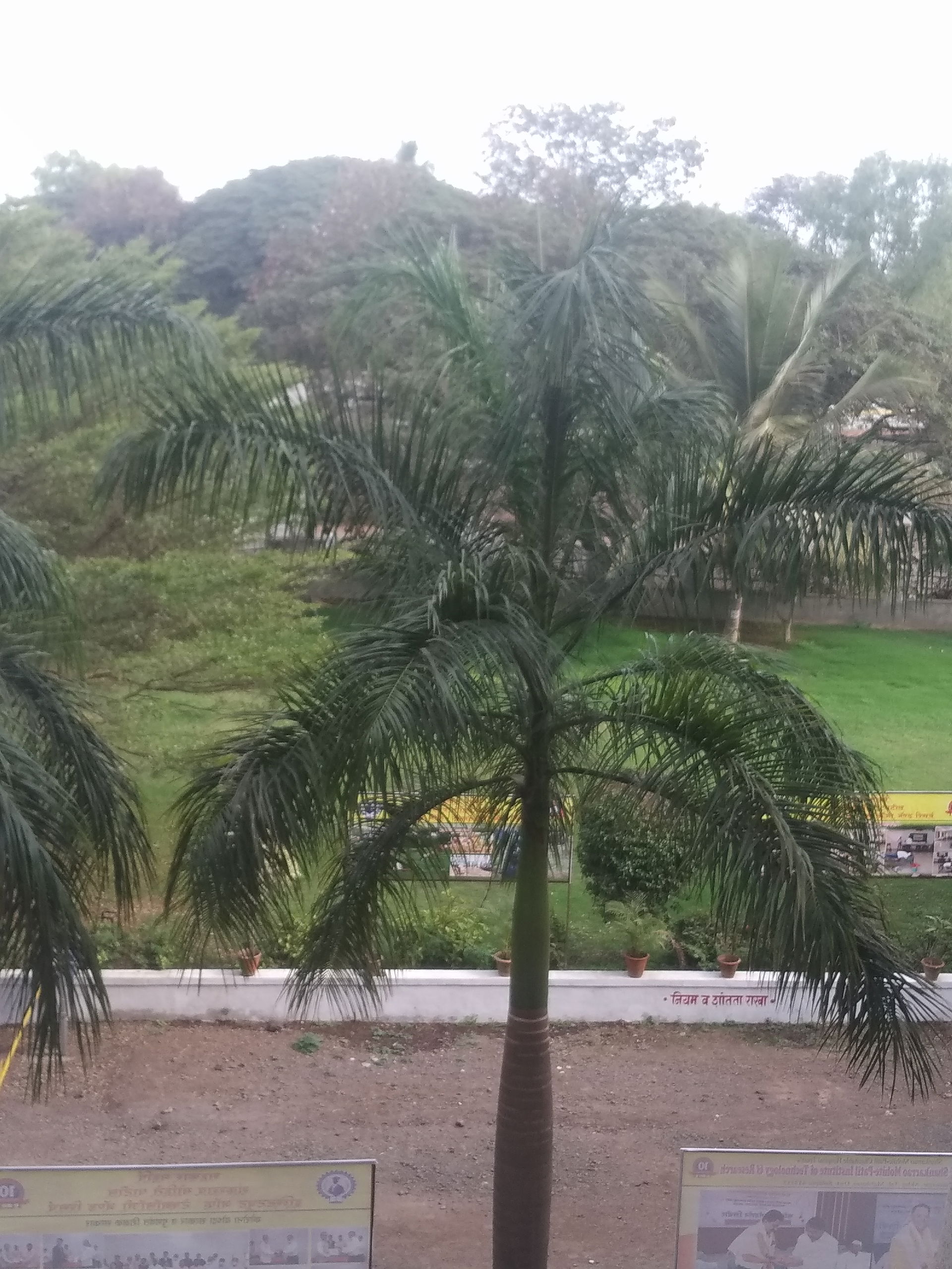 Akluj, Maharashtra view 1