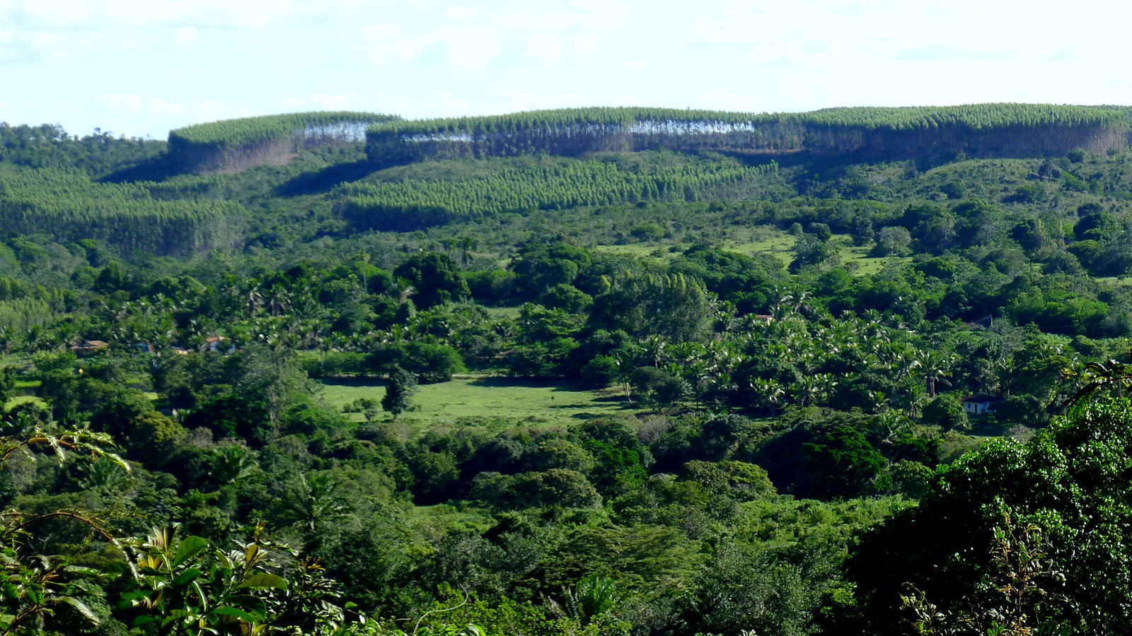 A typical anthropomorphized landscape, northeastern Bahia, Braz…