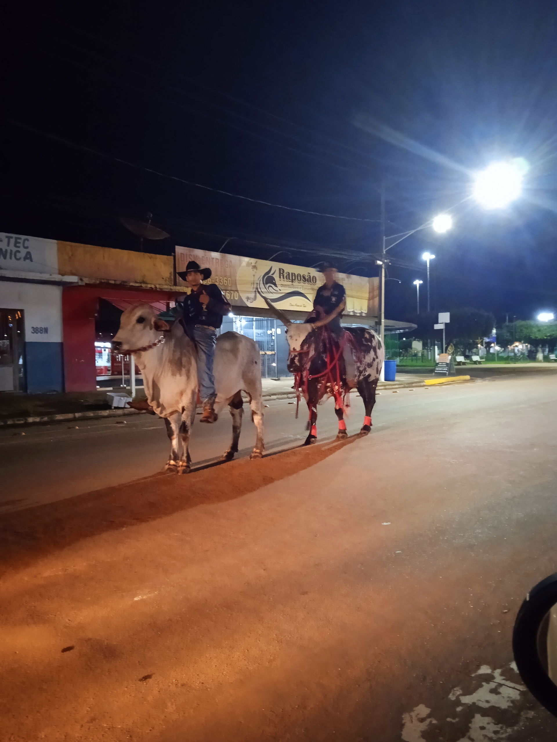 Manifestação cultural de Juína MT