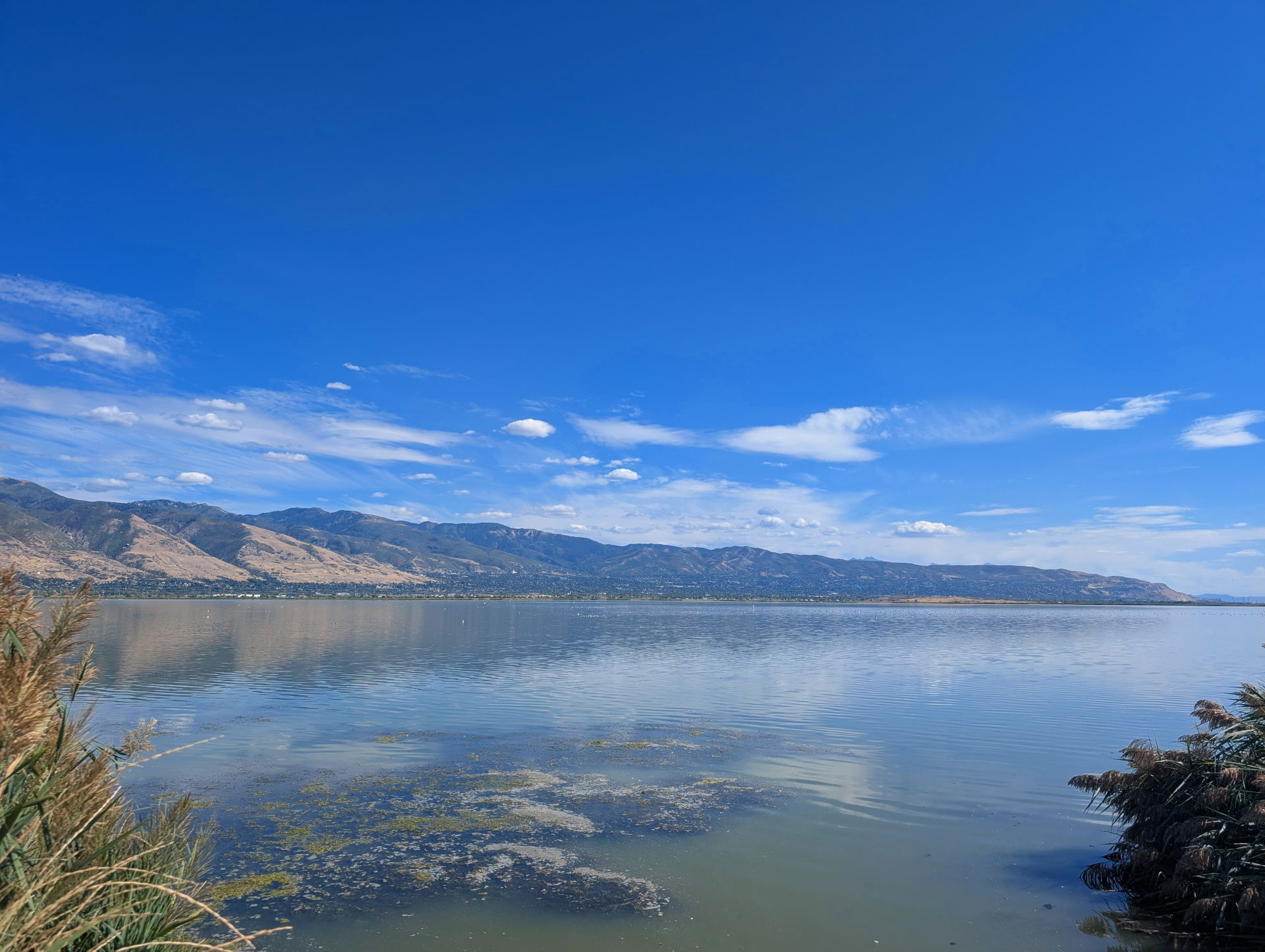 Southern Davis County, Utah as Viewed from Farmington Bay
