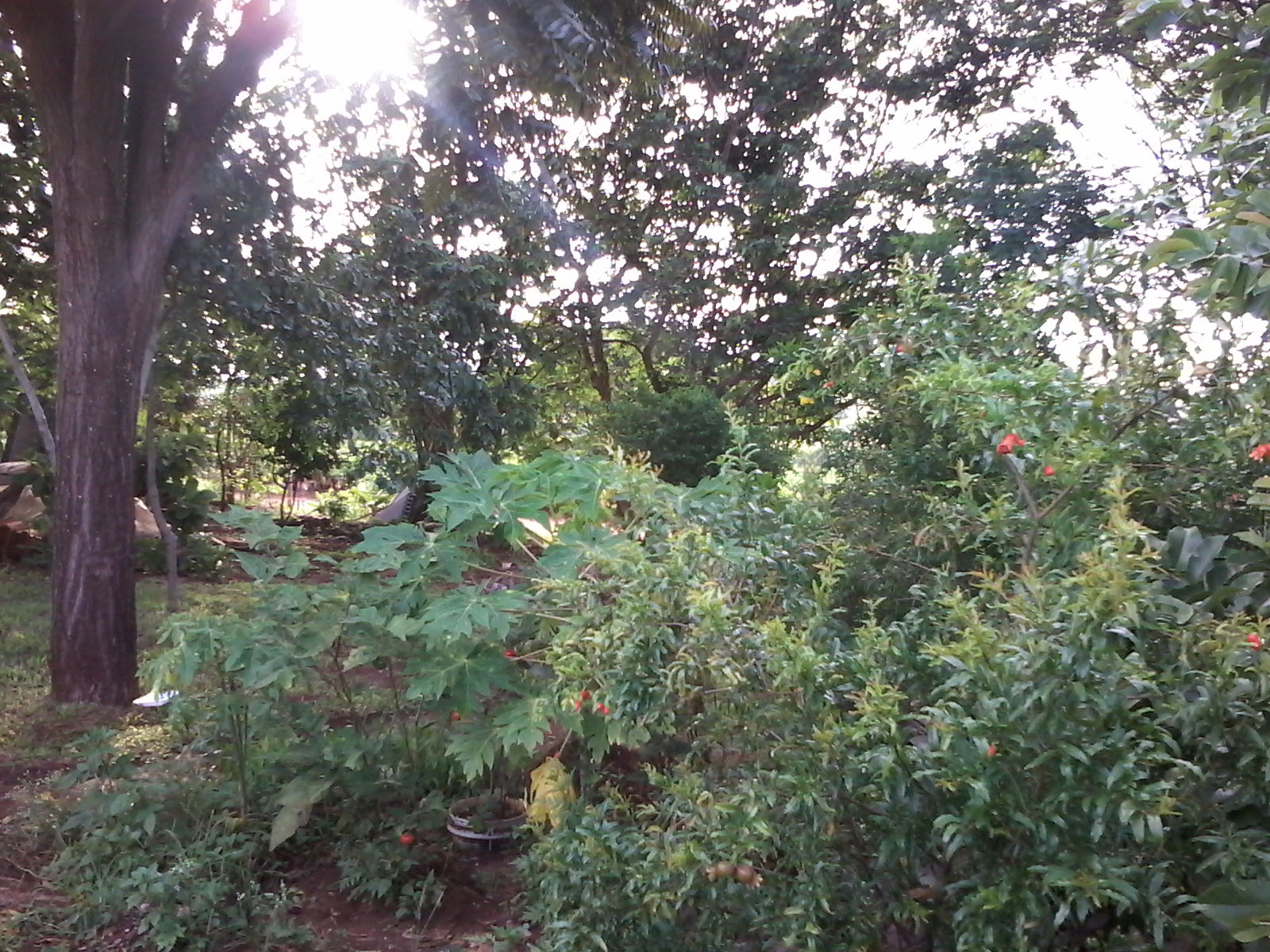 Serrana-SP