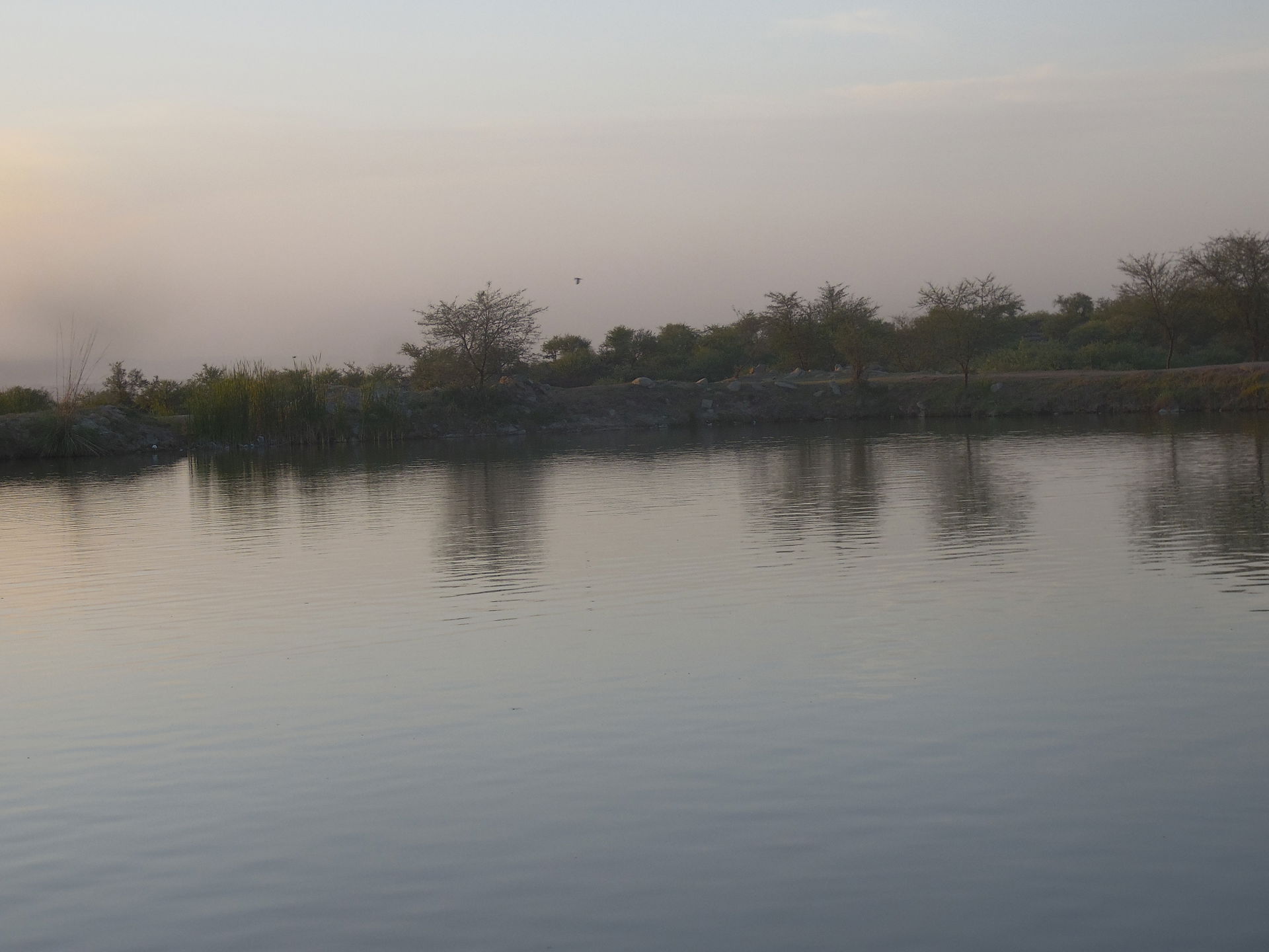 small lake in chakwal