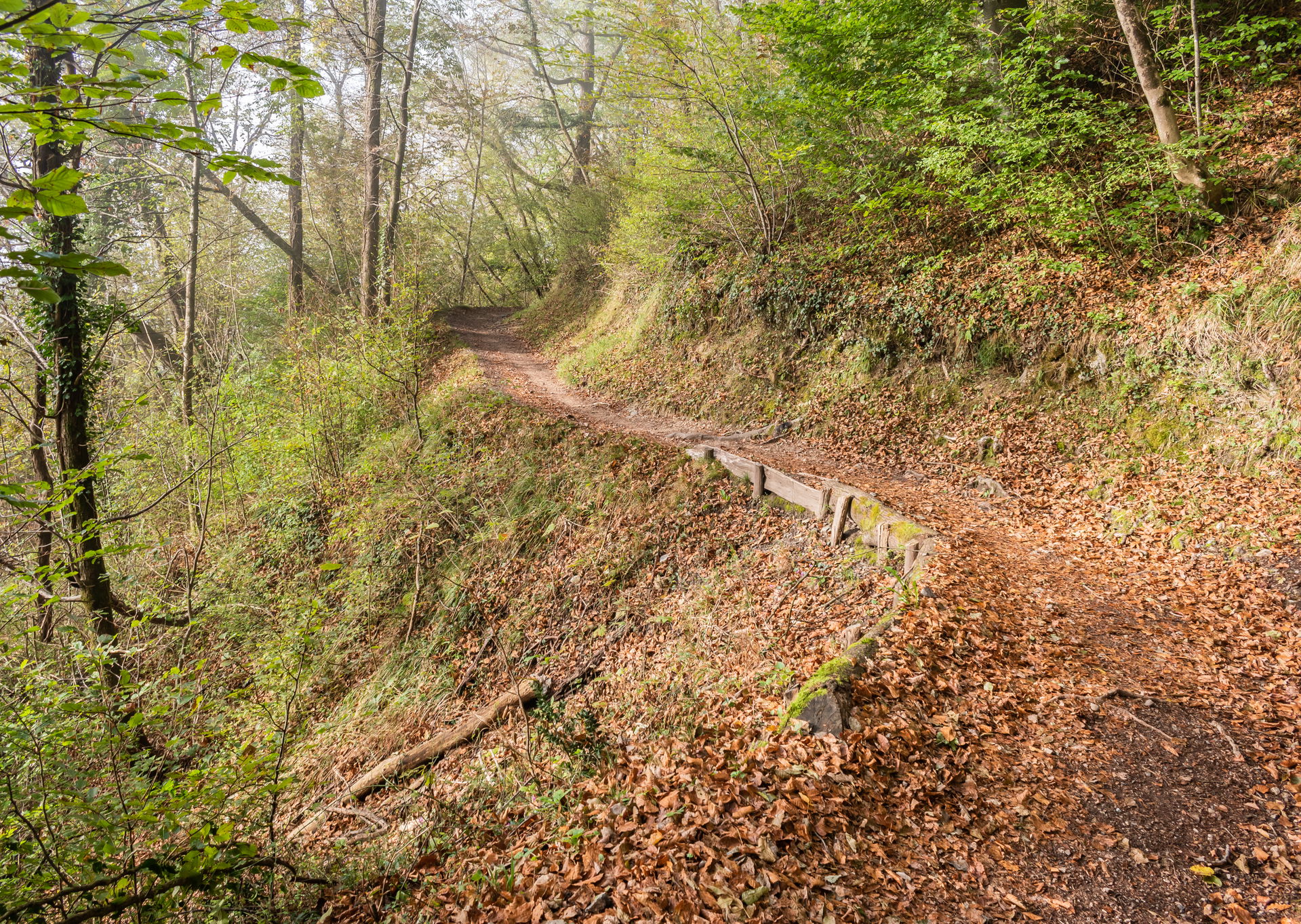 Hiking path in Tolmin, Goriška, Slovenia