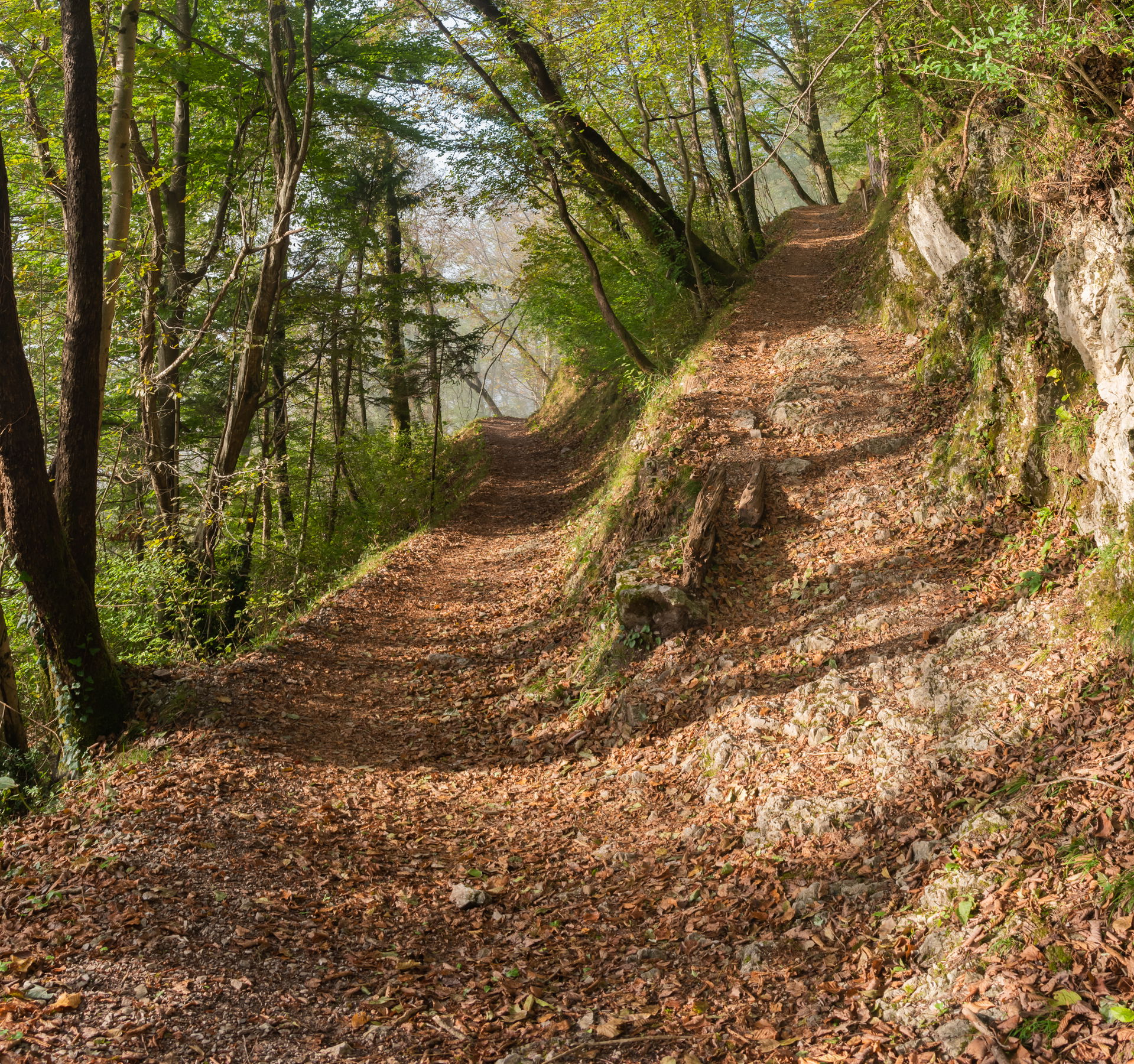 Hiking path in Tolmin, Goriška, Slovenia