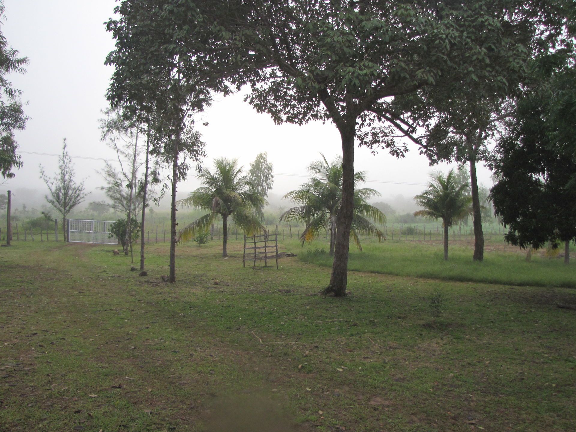 José de Freitas - State of Piauí, Brazil
