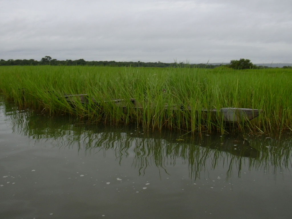 July 2004, tourism in Banfora
