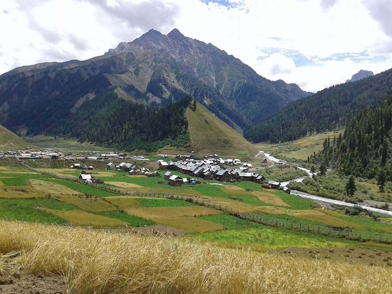 This pic is a village named Baduab telail in Bandipora district…