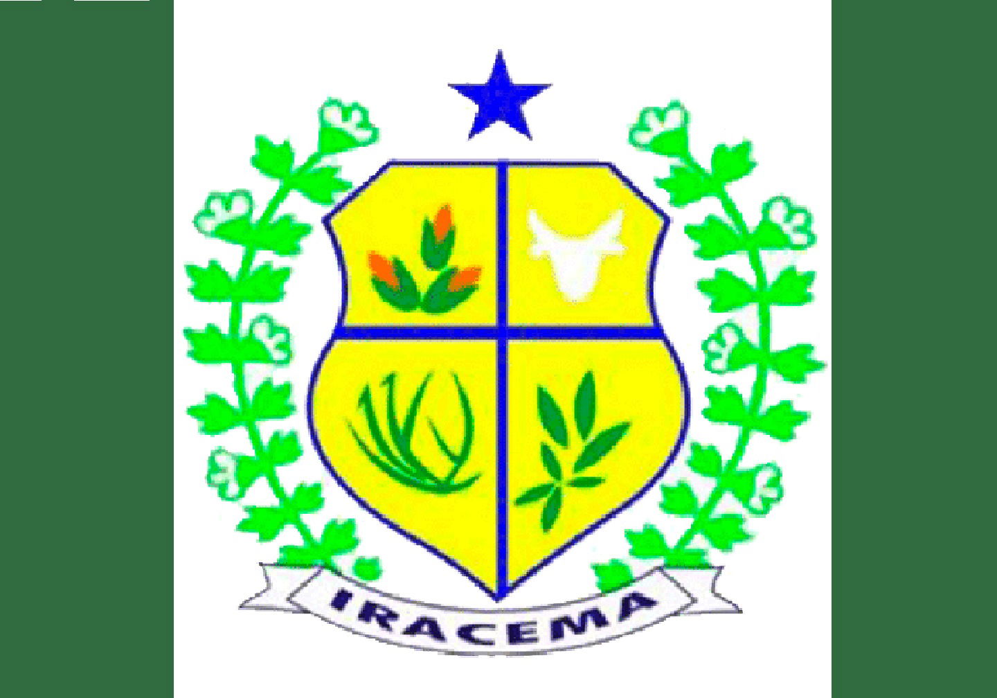 Flag of Itarema Municipality in the State of Ceará in Brazil