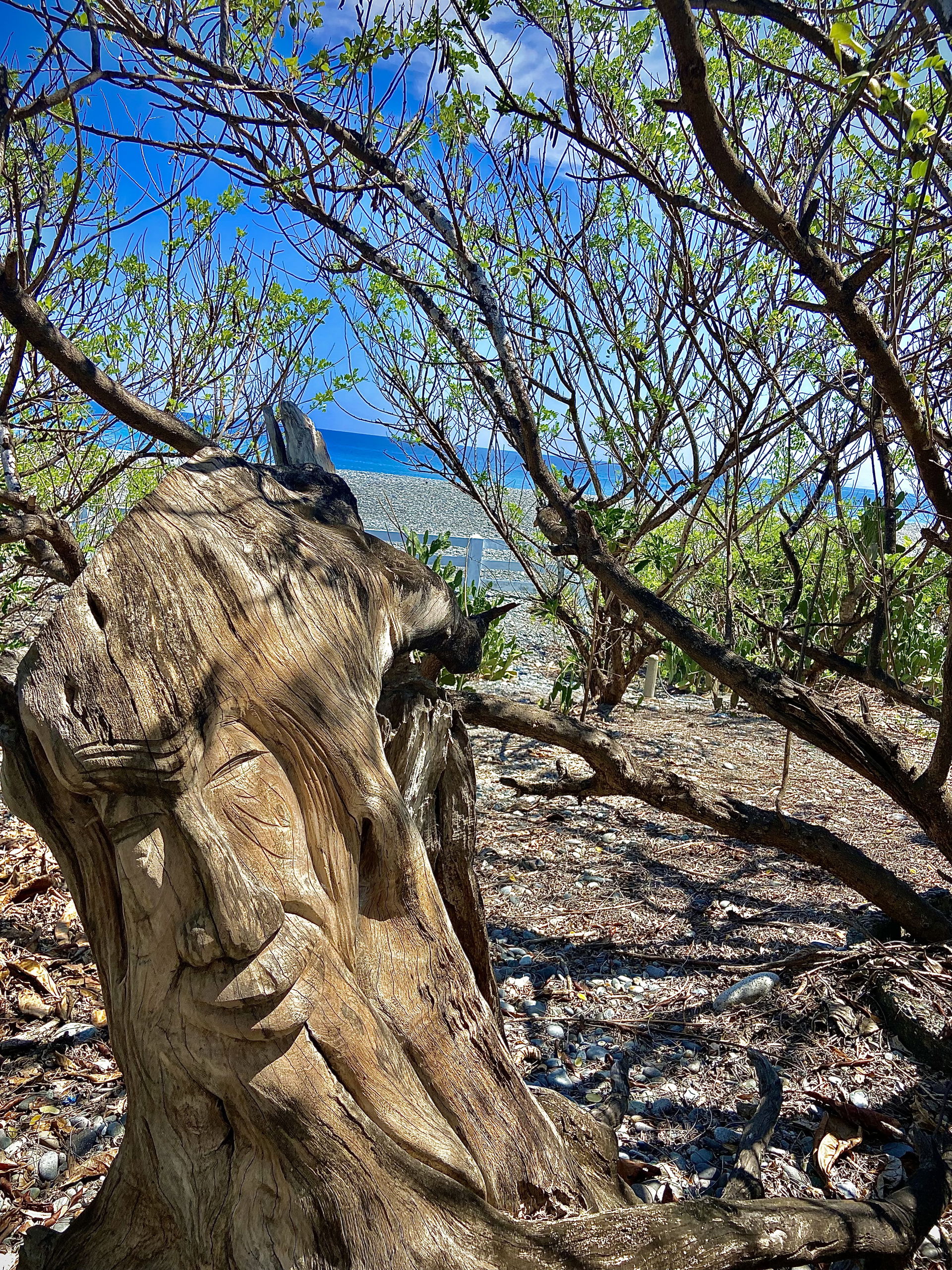 This is a former rest house of Dr. Edison and Purita Chan-Noble…