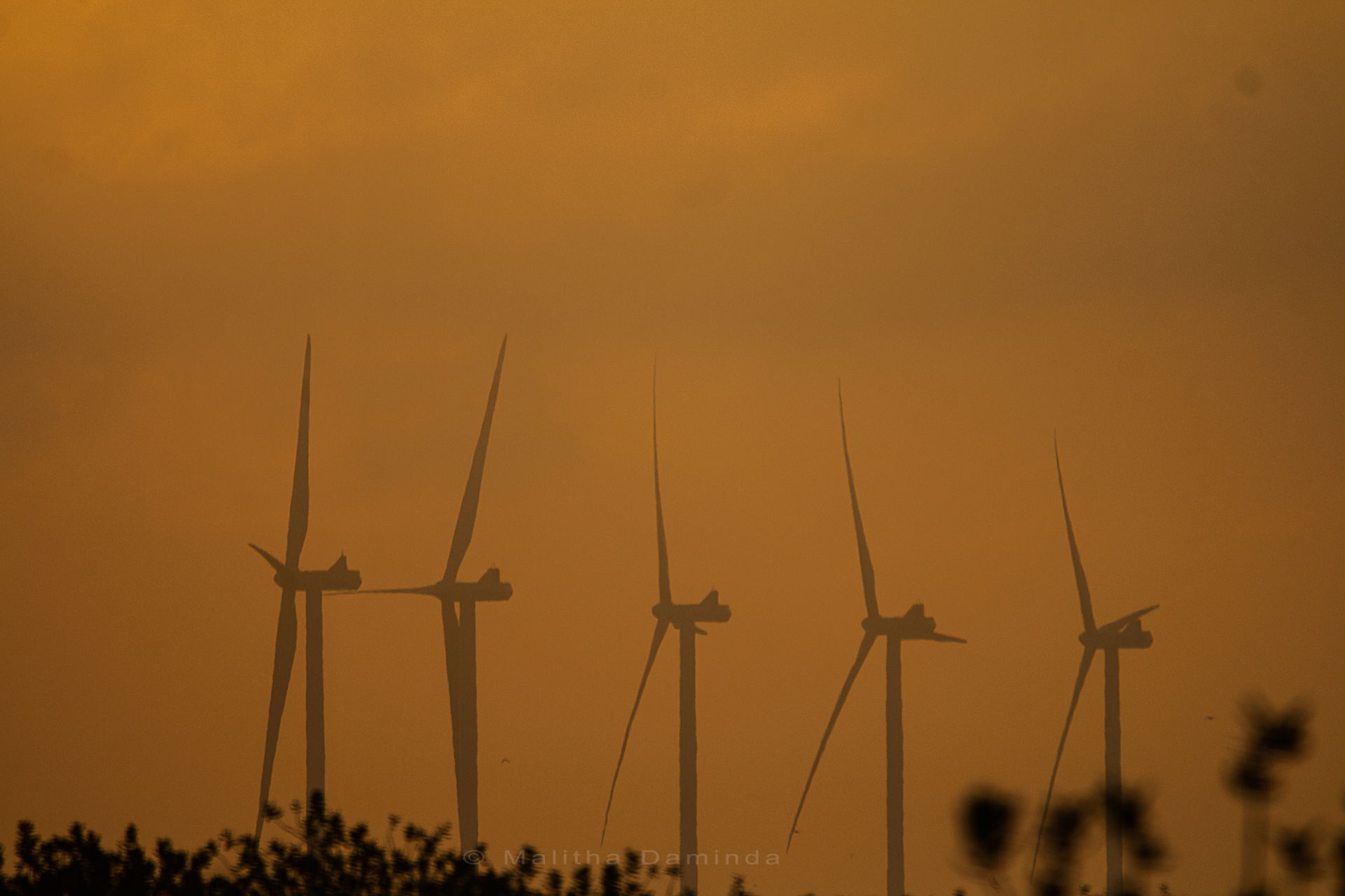 In 2021 February, The Prime Minister of Sri Lanka switched on t…