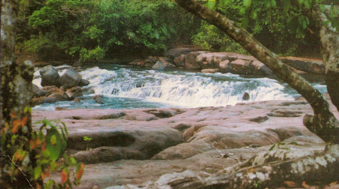 Clube de Campo Cachoerinha, ano de 1998