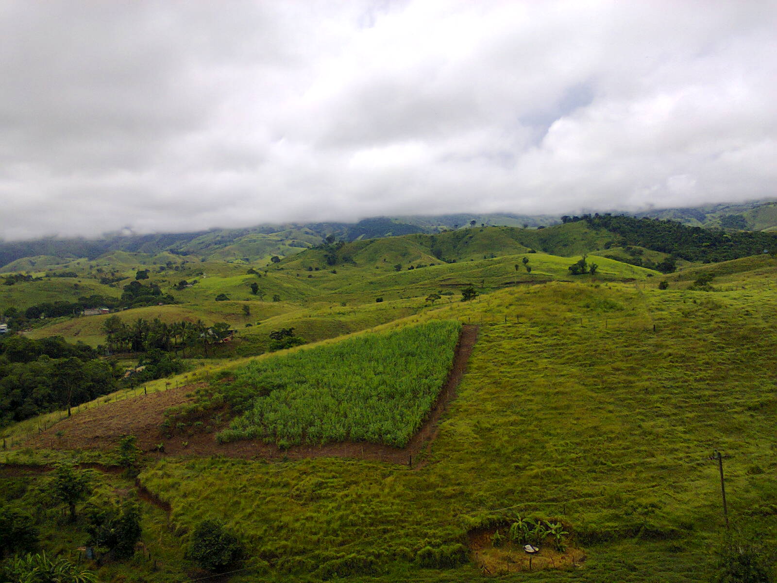 Bom Jardim se localiza na zona rural da cidade de Bom Jesus do …