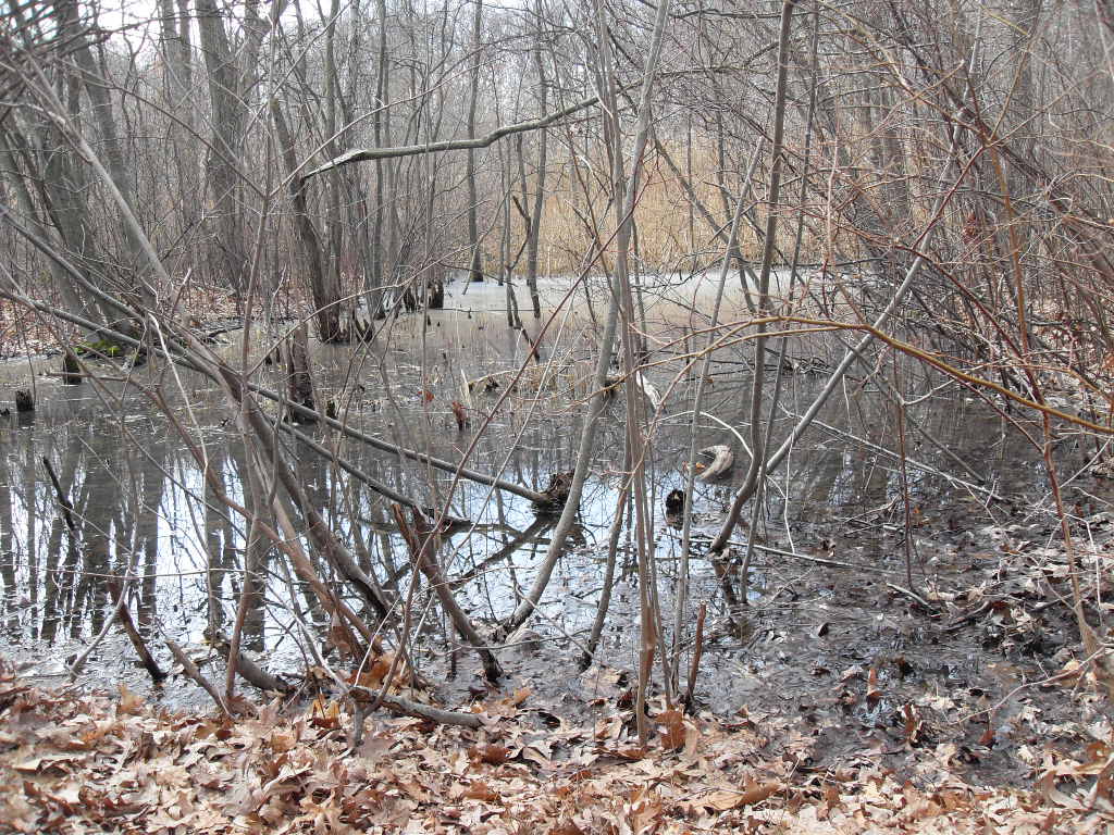 massapequa preserve