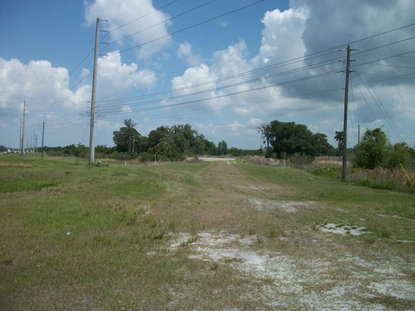 Odessa Woods