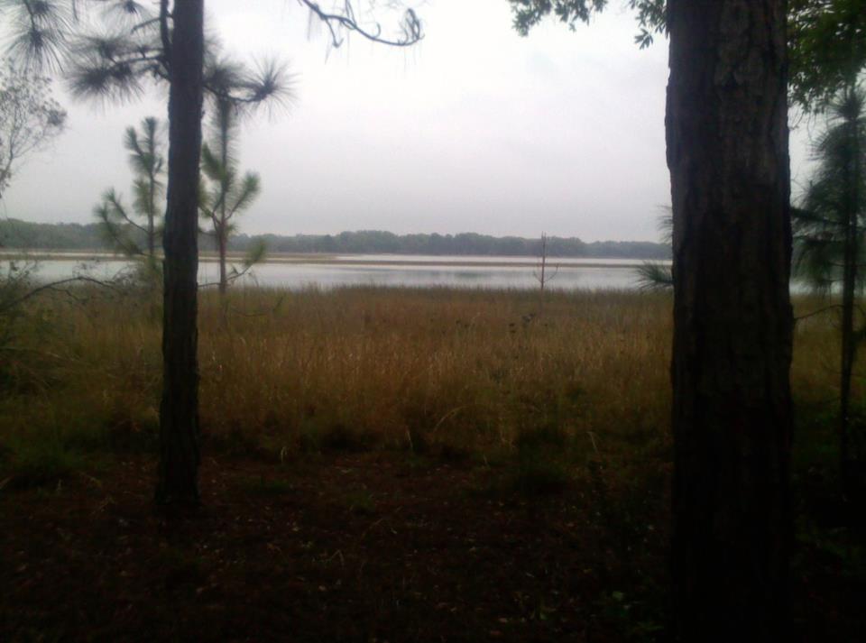 View of the lake at Lake Rogers Park in Odessa FL