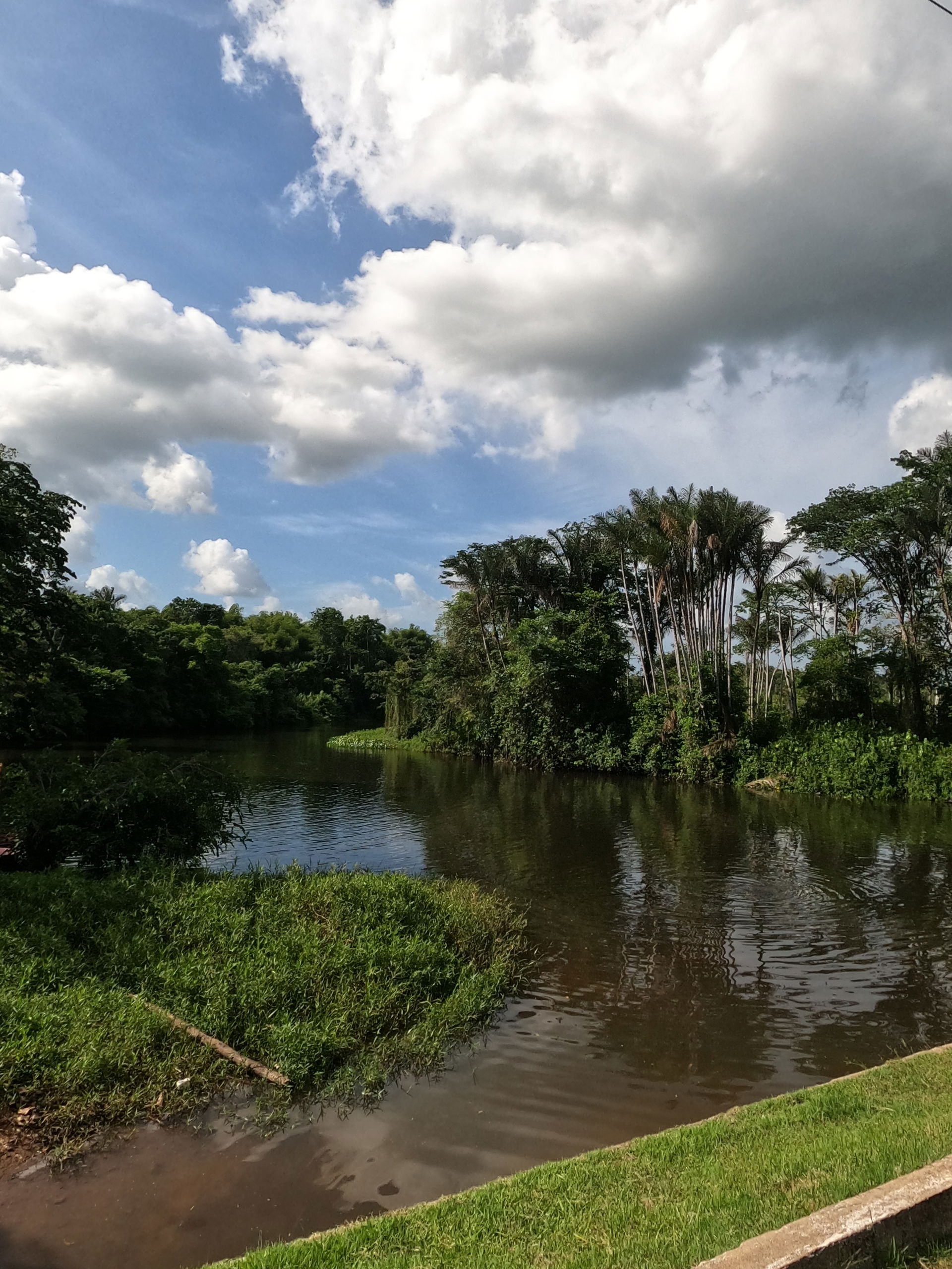 Rio Maracanã - Pará