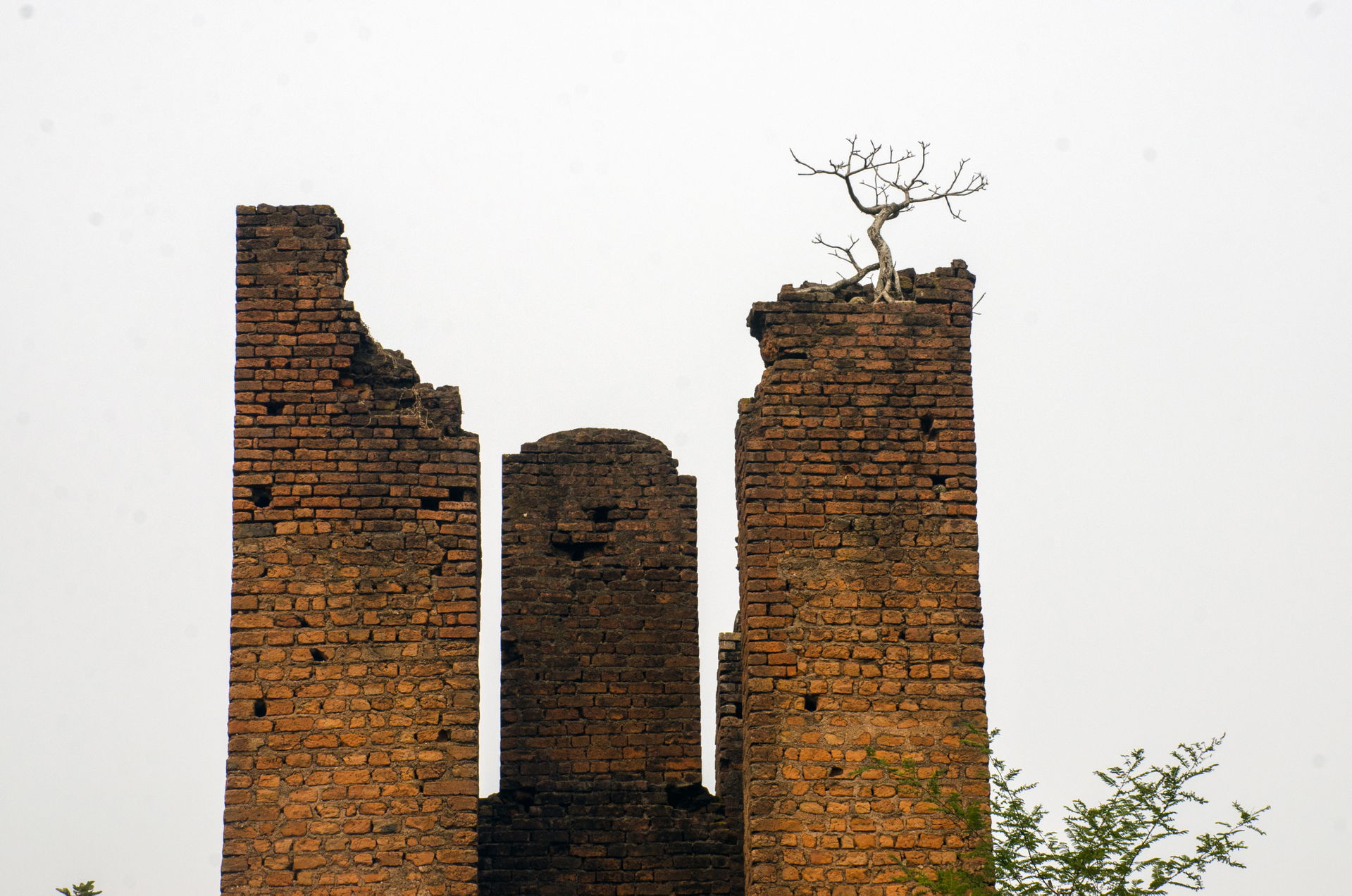 Bhalki Machan (GTS Tower)
