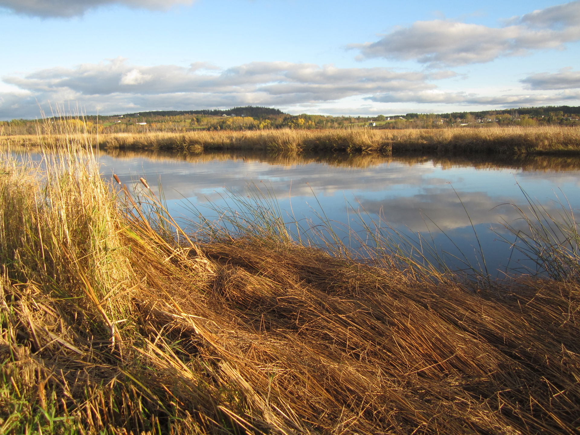Antigonish Landing, Autumn 2011.
