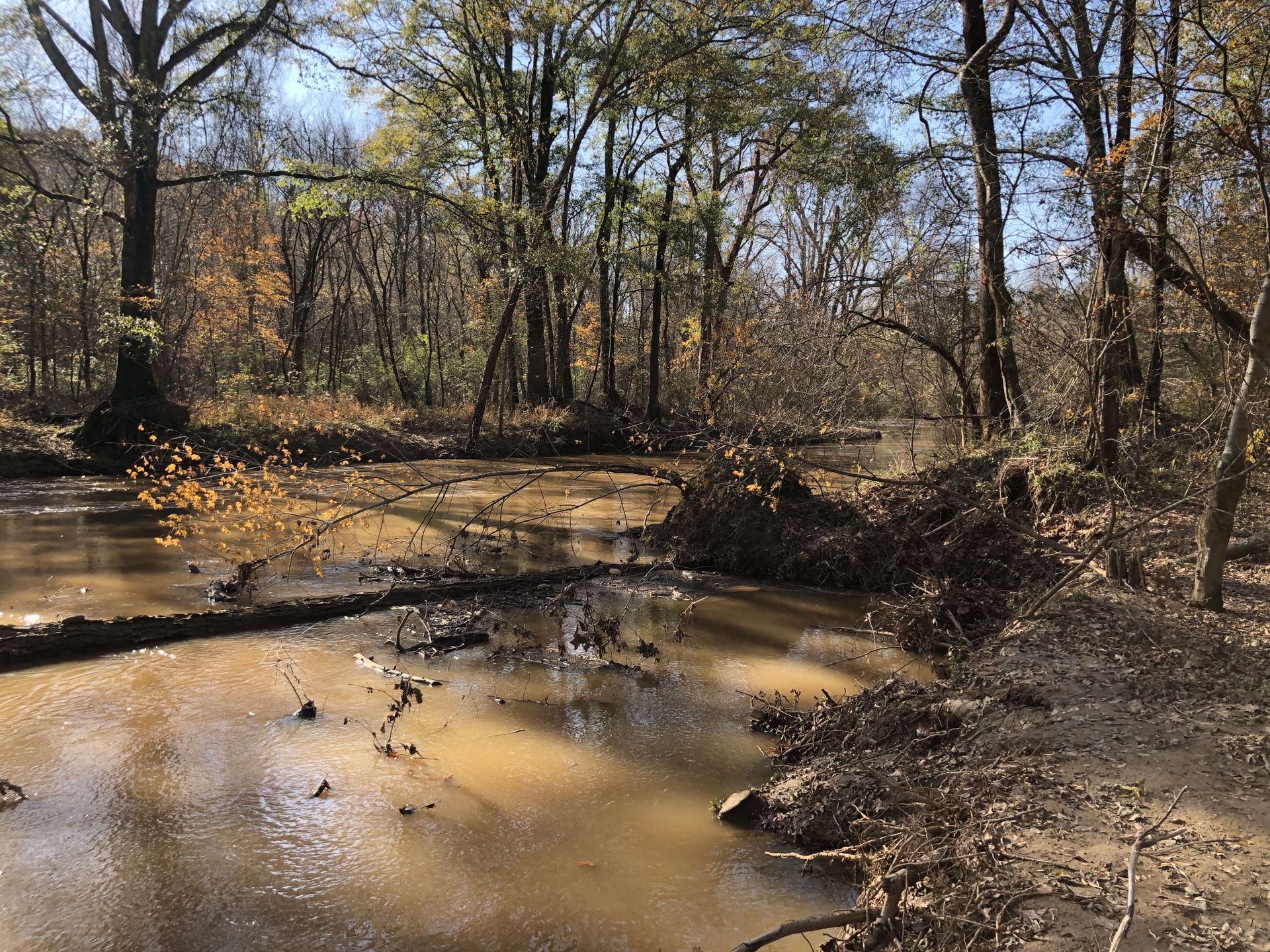 Big Creek, Alpharetta, GA