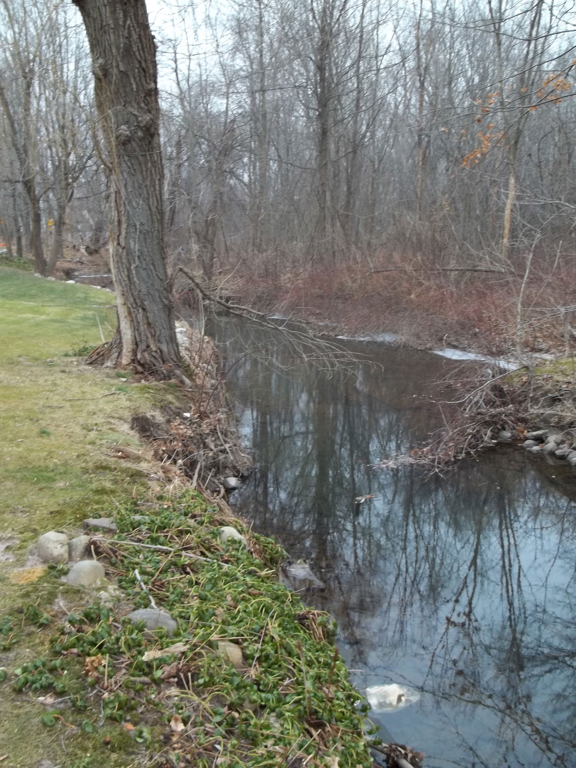 Dorotockeys Run, Harrington Park, NJ December 25th, 2010
