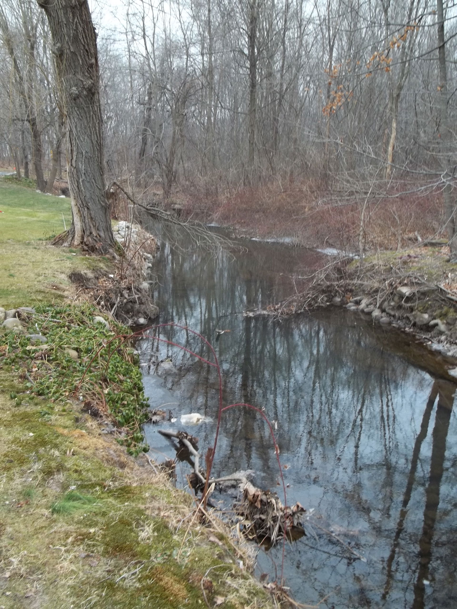 Dorotockeys Run, Harrington Park, NJ December 25th, 2010
